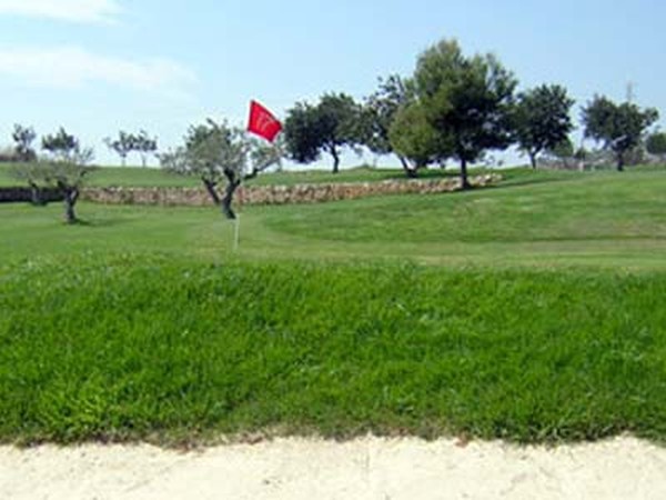 Casa de colonies_Esports 006